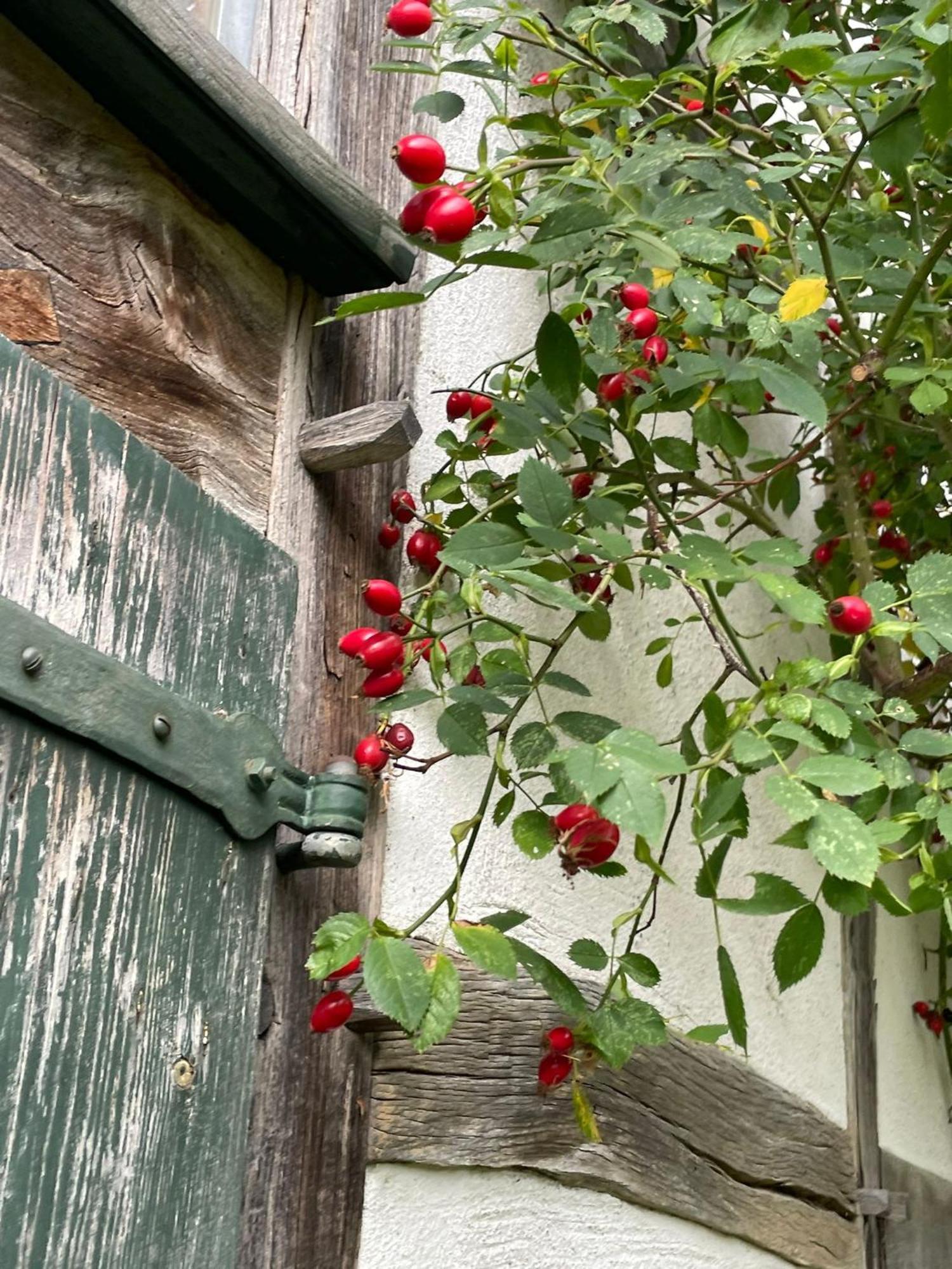 Cherrytree Cottage 1840 Heimbach Exterior foto